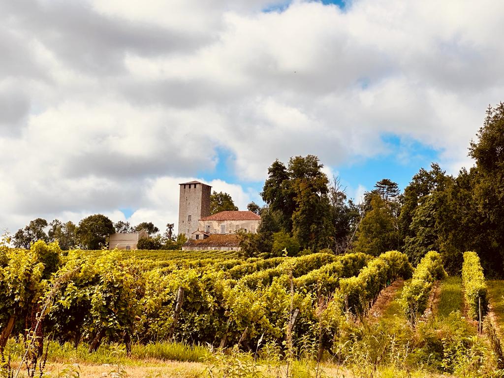 Dag 99 Camino de Santiago: Montréal - Eauze, 20 km - Pieter - Pieter en  Marlies op pad